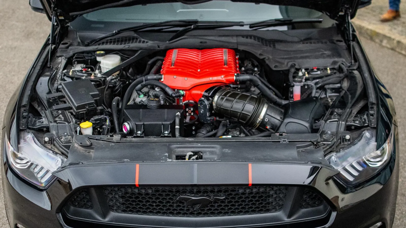 Mustang supercharged V8 engine